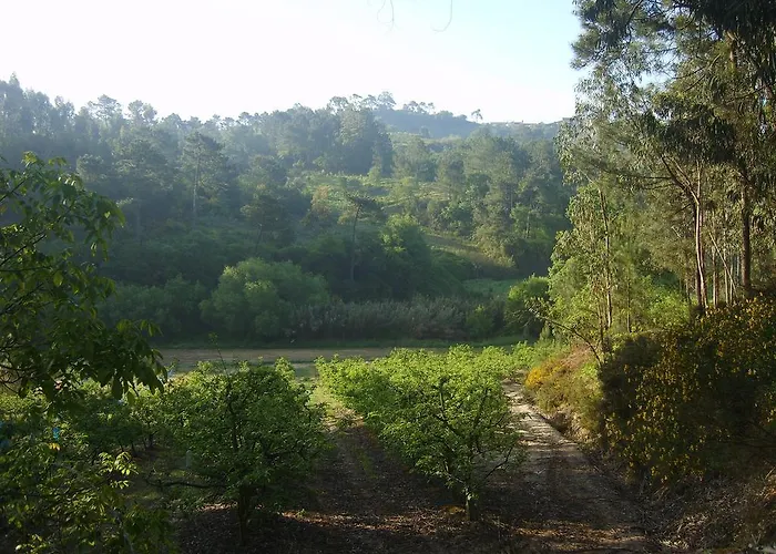 Quinta Da Vida Serena Bed & Breakfast